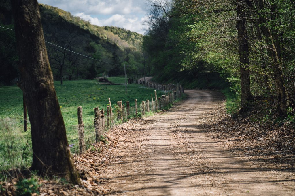Dirt road along a fence line