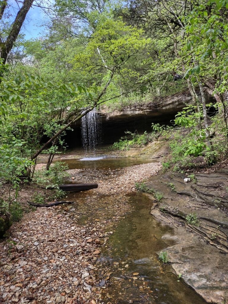 Waterfall along a forest trail