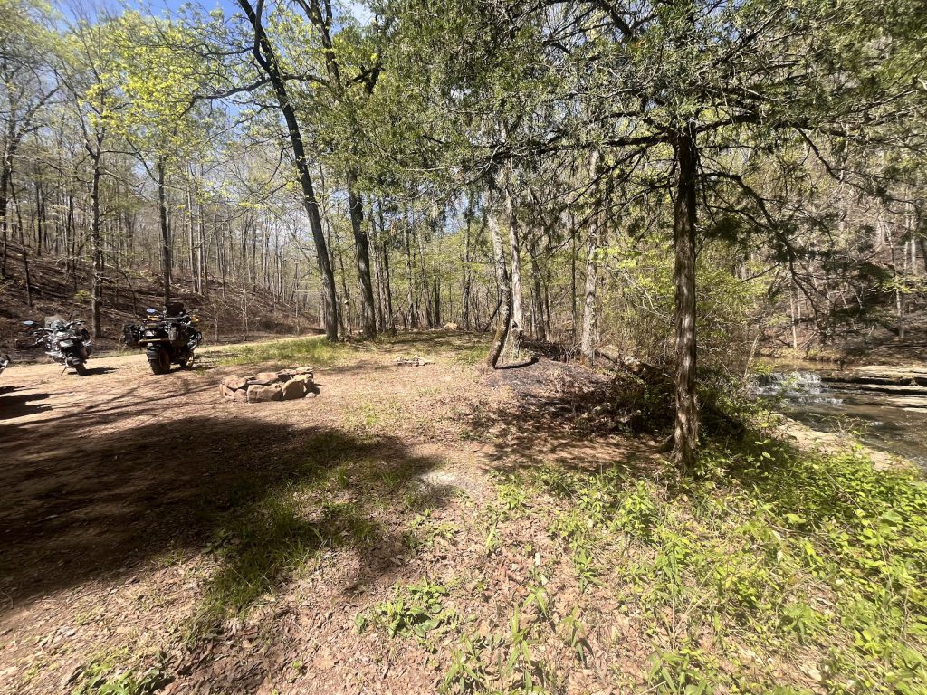 Dispersed camping under the trees